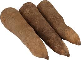Yam Tubers (Set of 3 Tubers)